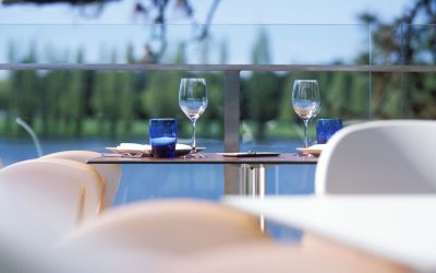 Les secrets inavoués de la truffe noire : Enquête au cœur de la gastronomie française