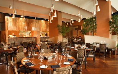 Les 5 plus étonnants secrets des grands chefs pour sublimer vos plats de restaurant